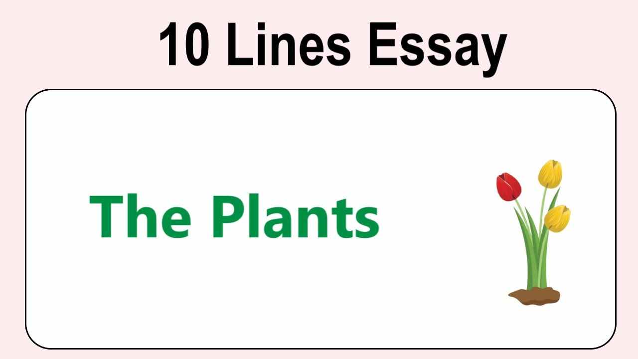 10 Lines on Plants for Class 1