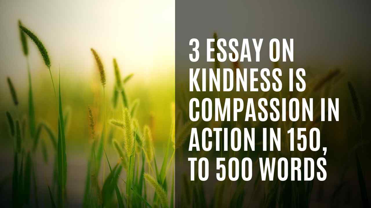 3 Essay on Kindness Is Compassion thumbnail 