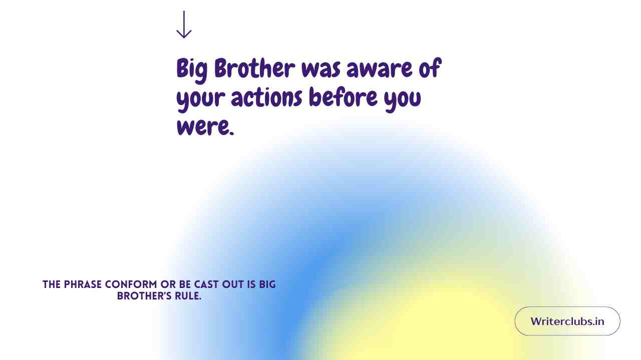 Big Brother Quotes 
