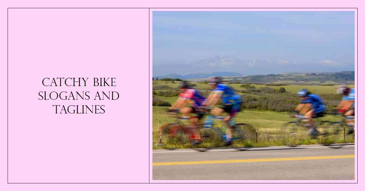 Bike Slogans and Taglines