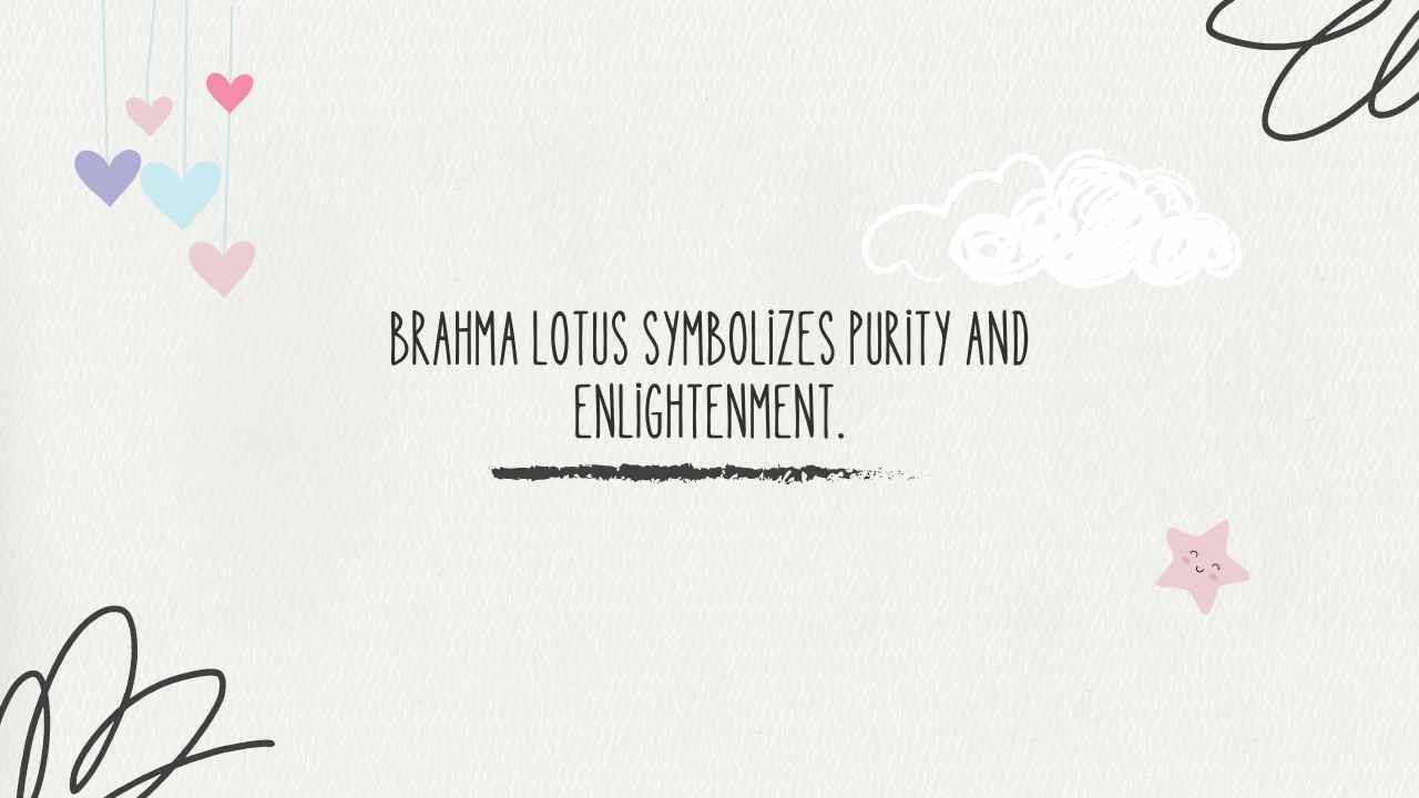 Brahma Kamal Quotes