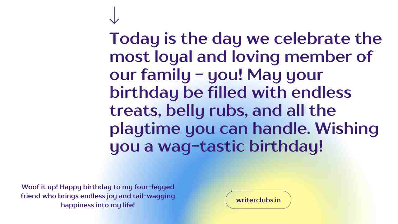 Dog birthday quotes and captions 
