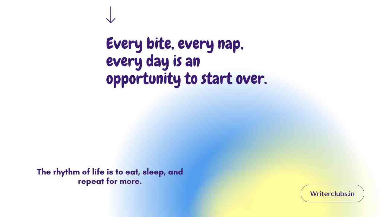 Eat Sleep Repeat Quotes 