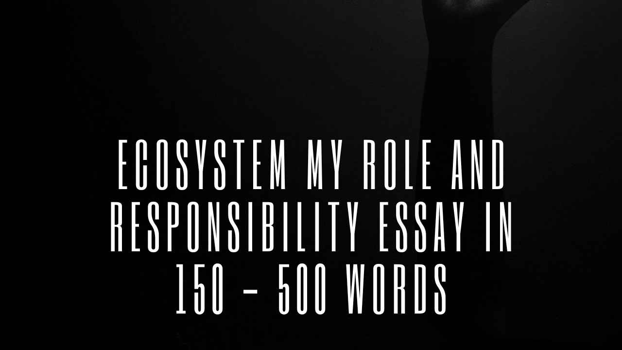 Ecosystem My Role and Responsibility Essay