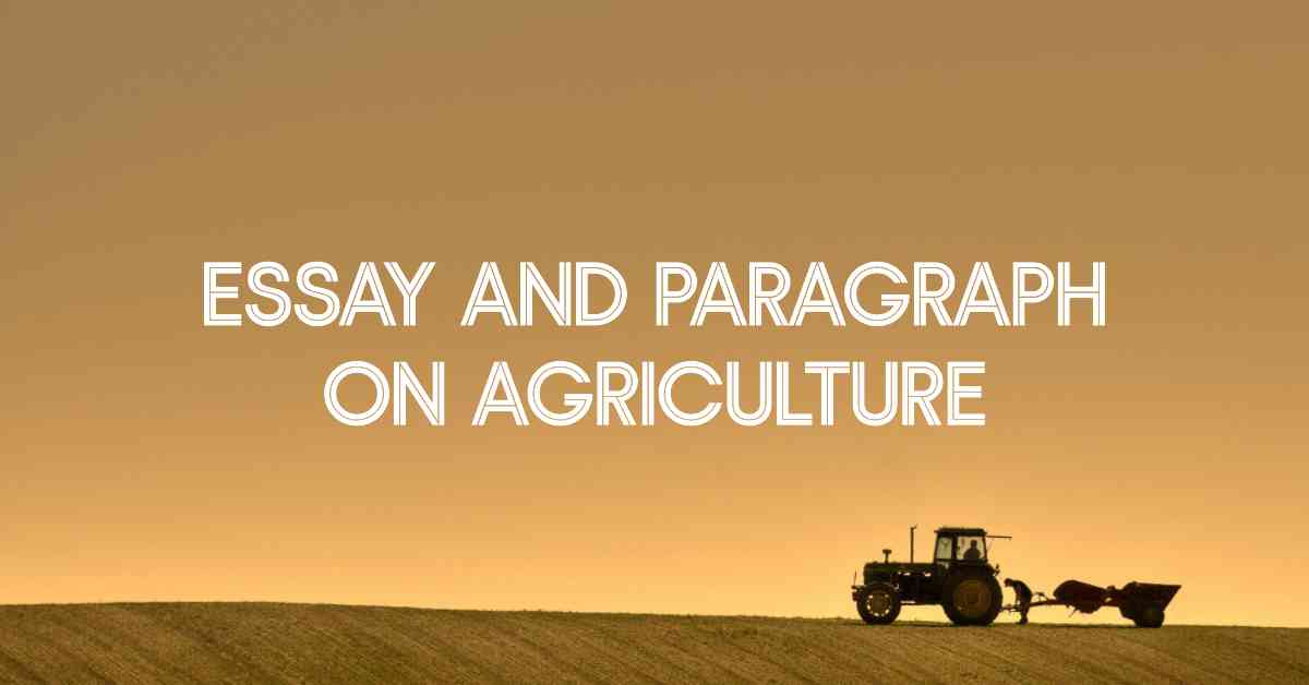 Essay and Paragraph on Agriculture