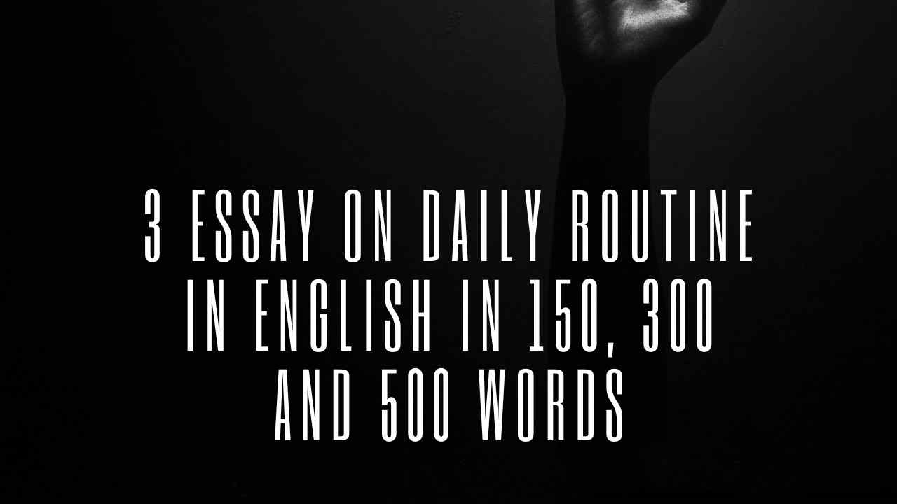 Daily Routine Essay 