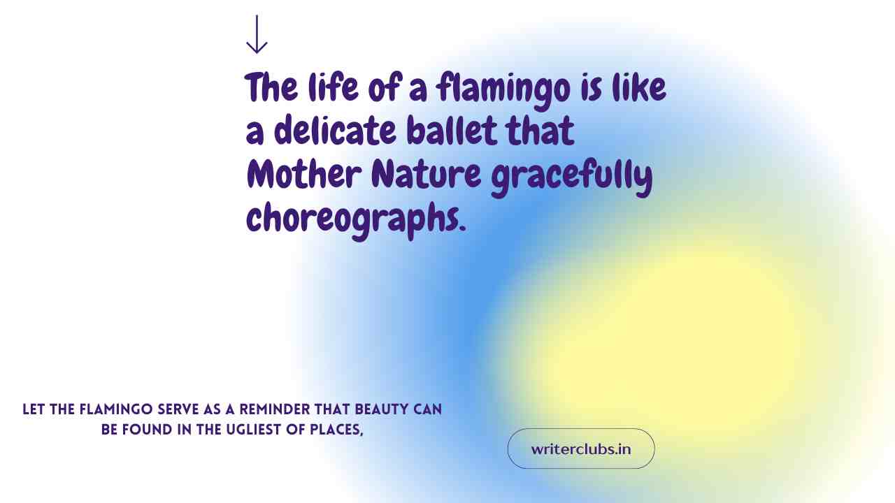 Flamingo quotes and captions 