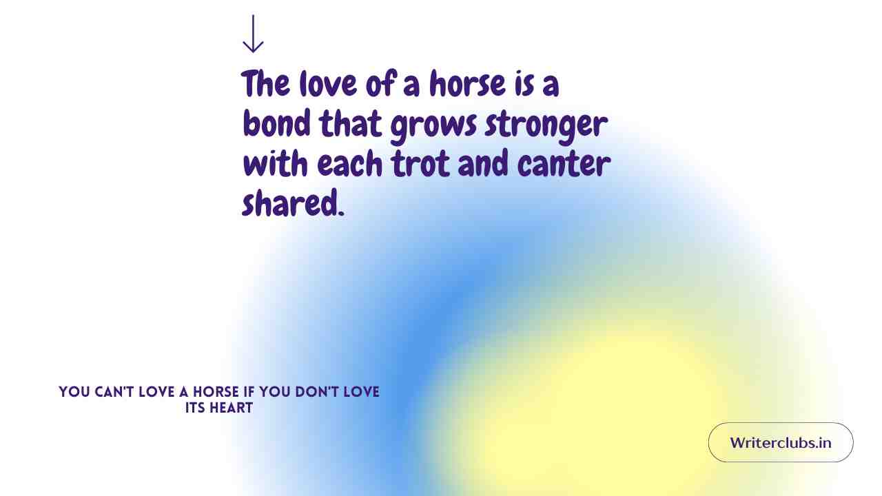 Horse Love Quotes and Captions