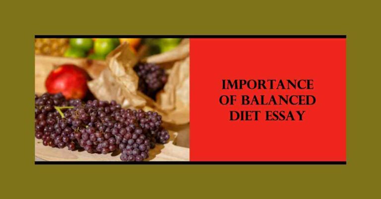 essay on balanced diet in 500 words