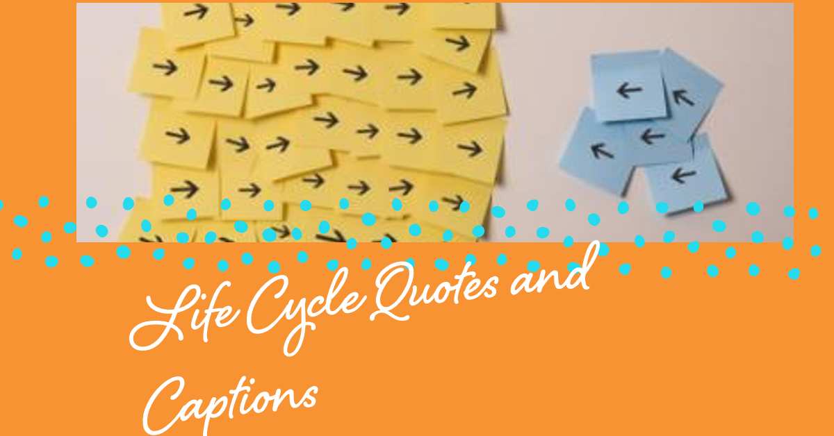 Life Cycle Quotes and Captions thumbnail