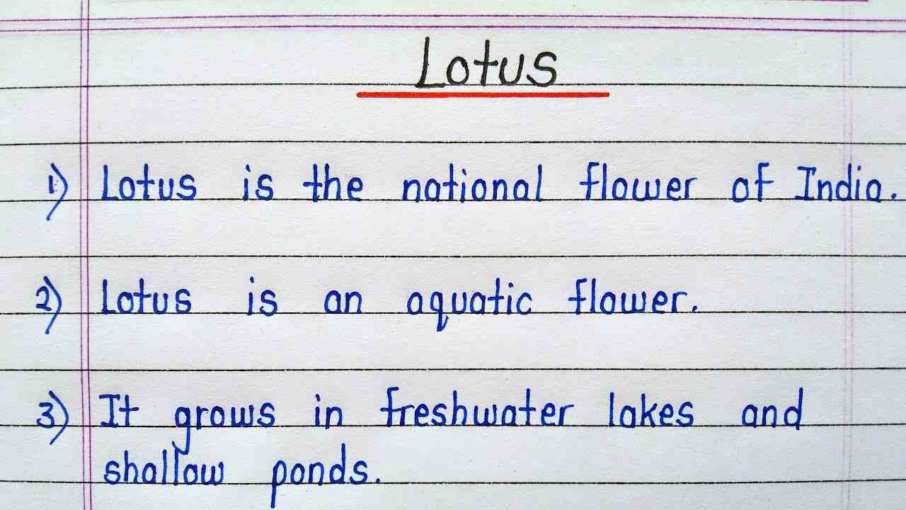 5 Bonus Lines Essay on Lotus for Class 1 Student