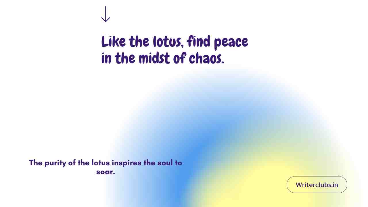 Lotus Quotes and Captions 