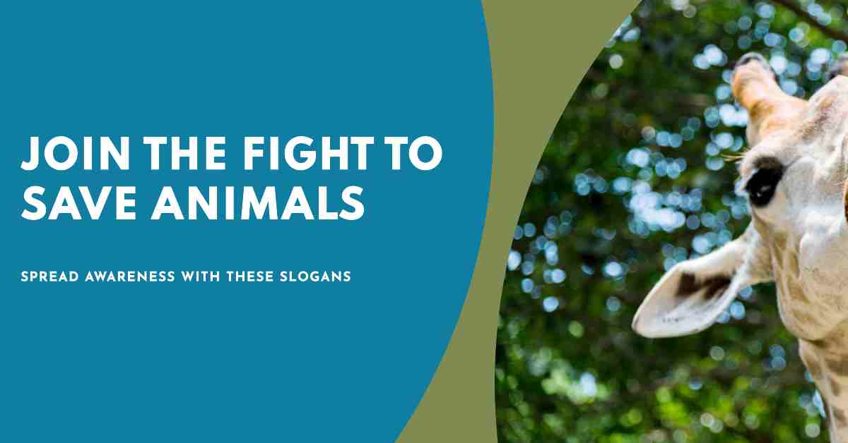 Save Animals Slogans poster 