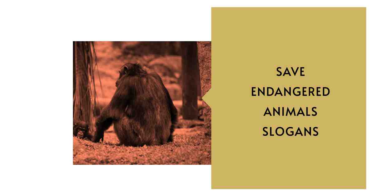 Save Endangered Animals Slogans