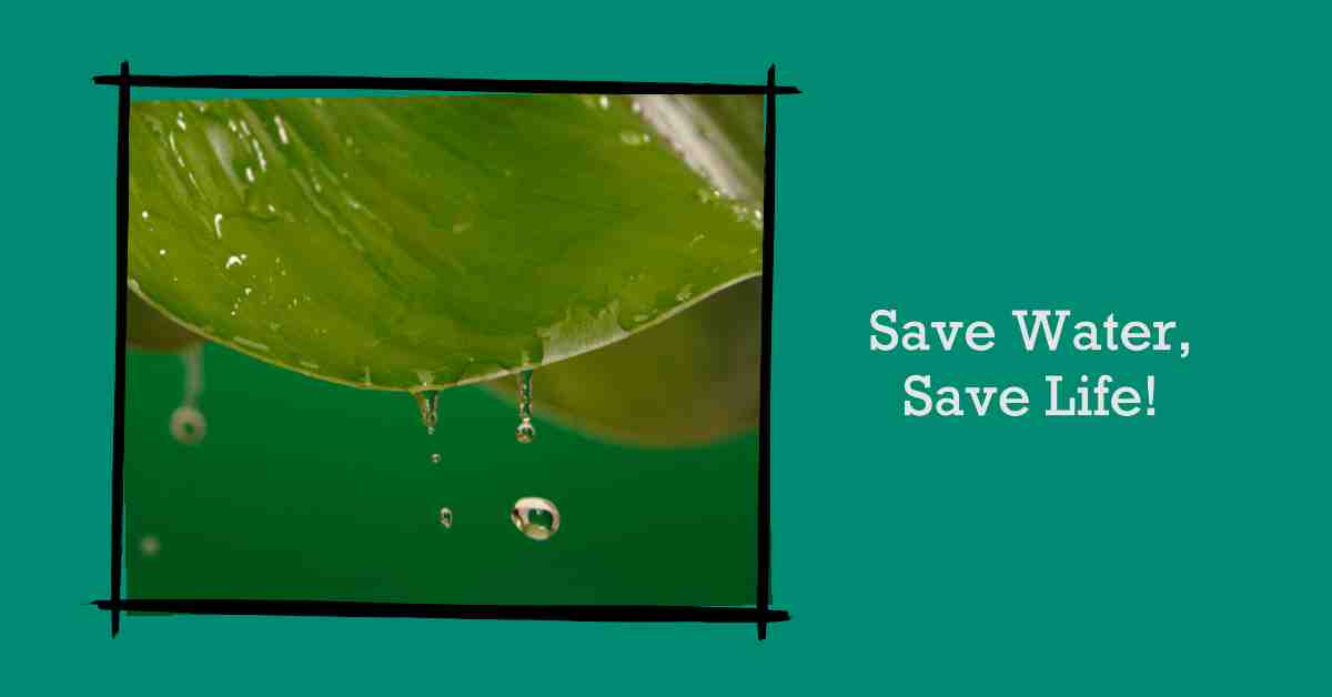 Save Water Save Life Essay 