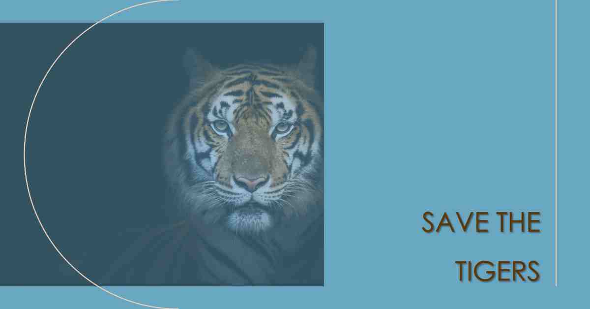 Slogan On Save Tiger