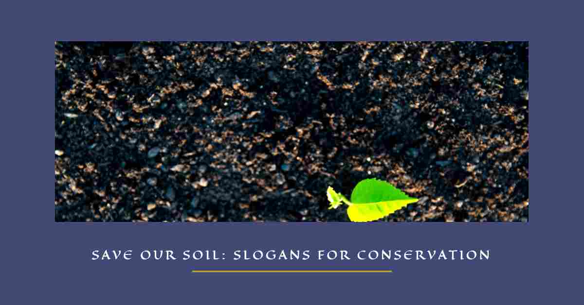 Slogans On Soil Conservation