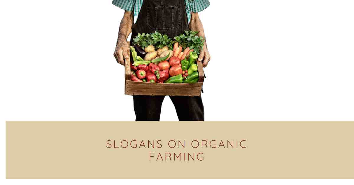 Slogans on Organic Farming