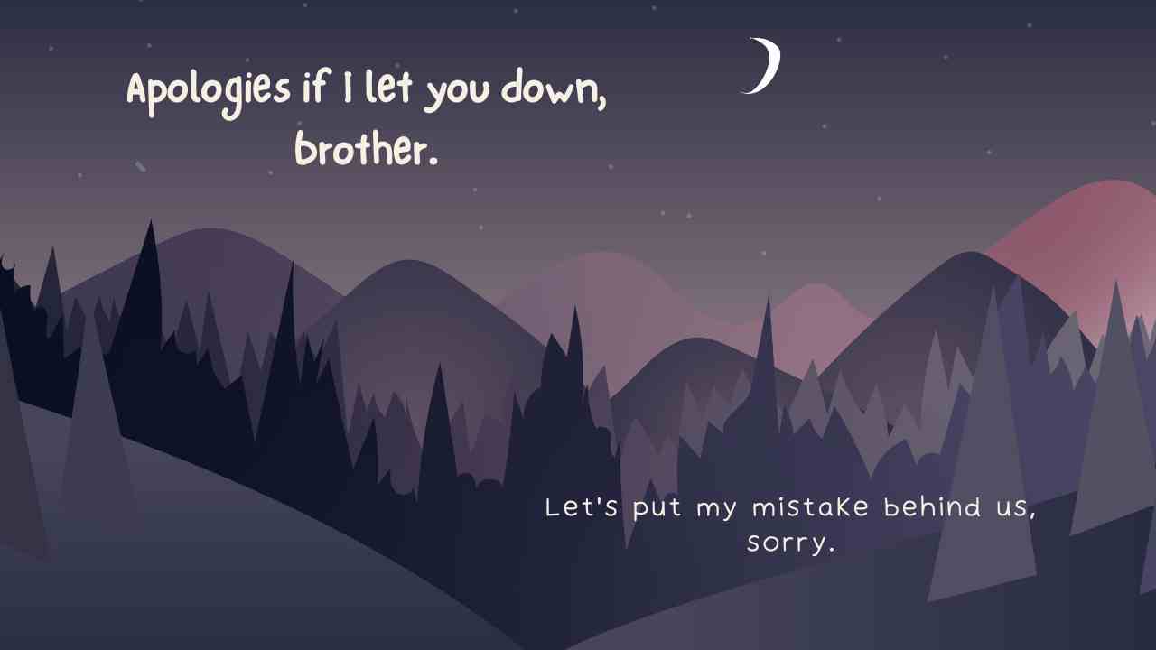 Sorry Quotes for Brother