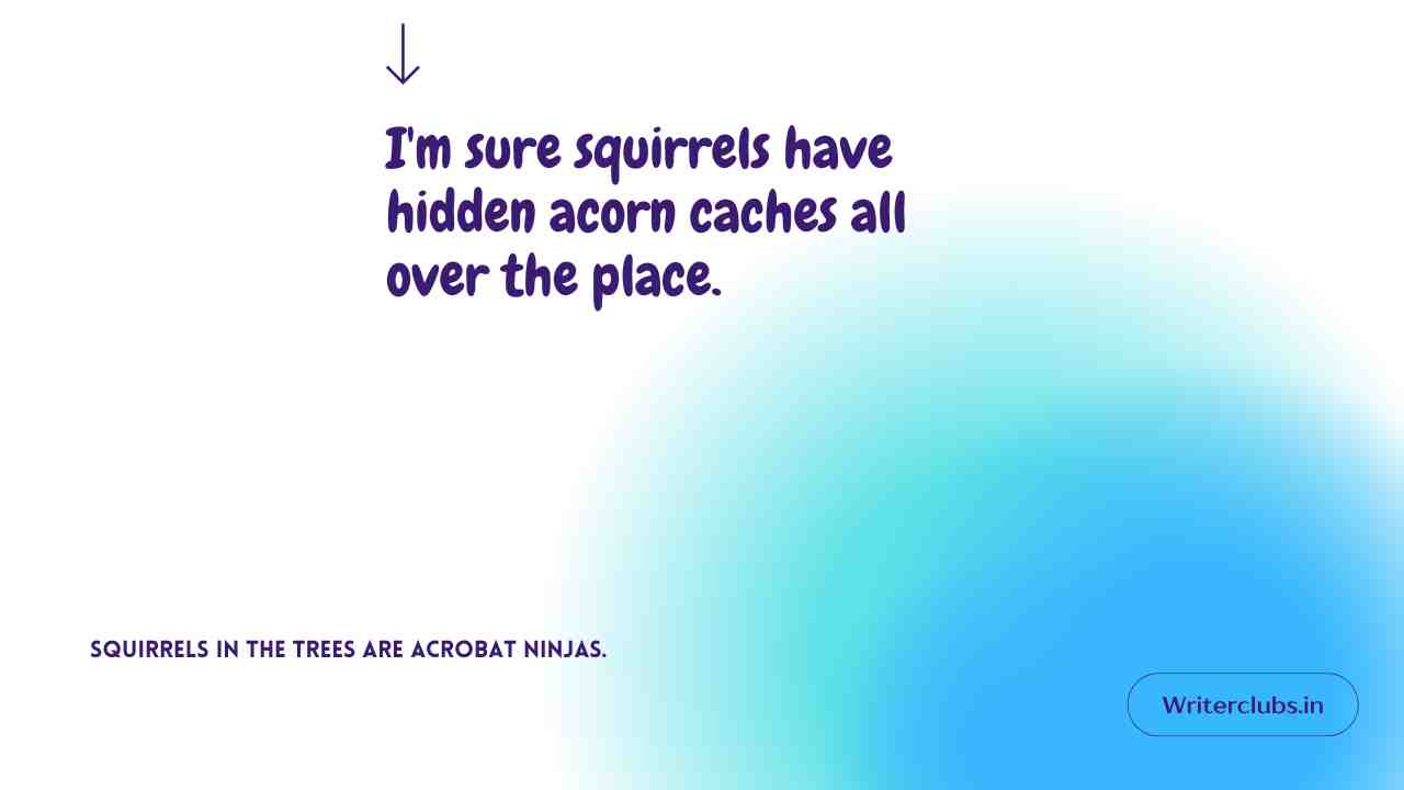 Squirrel Quotes and Captions