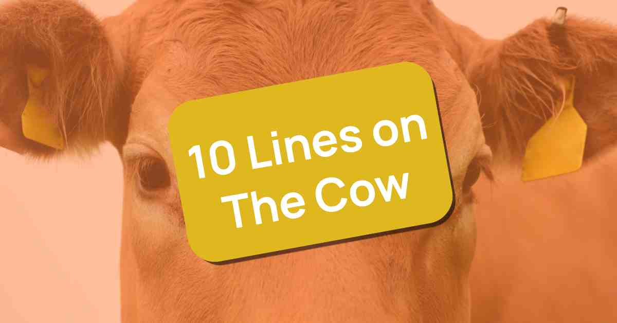 The Cow Essay 10 Lines