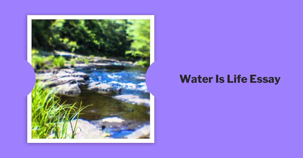 Water Is Life Essay