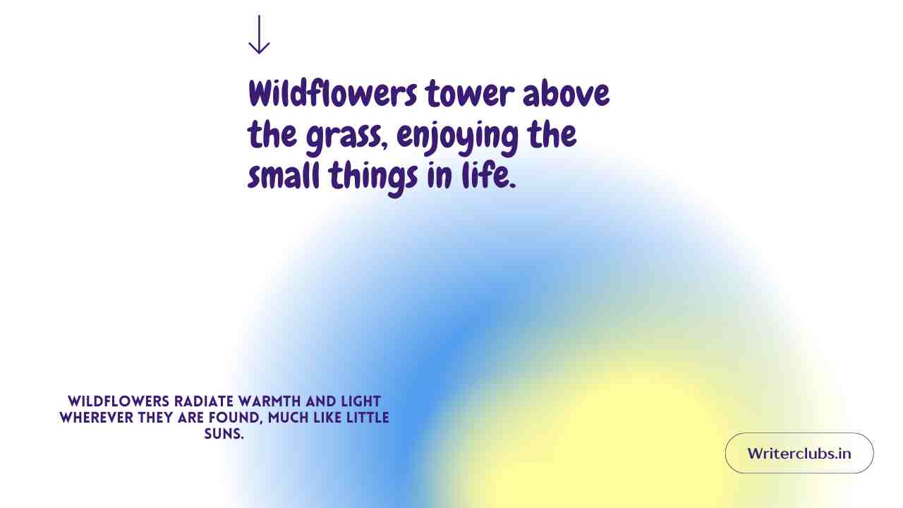 Wildflower Quotes 