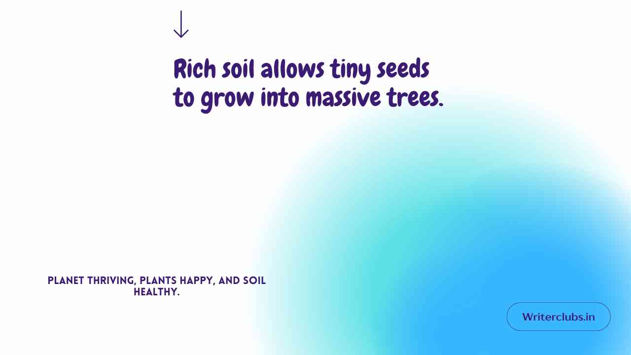 World Soil Day Quotes