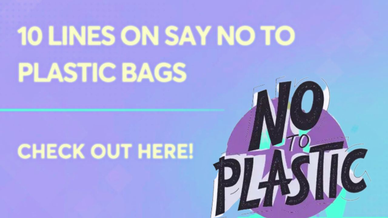 lines on Say no to plastic 